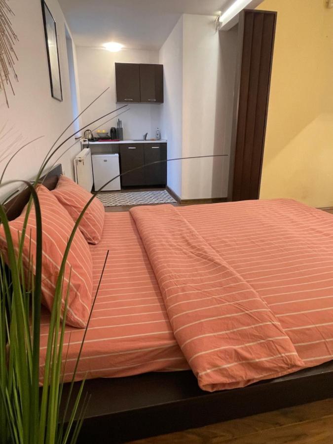 Savoya5 Old Citycenter Selfcheckin Workspacestudio Apartment Timisoara